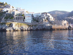 Hydra